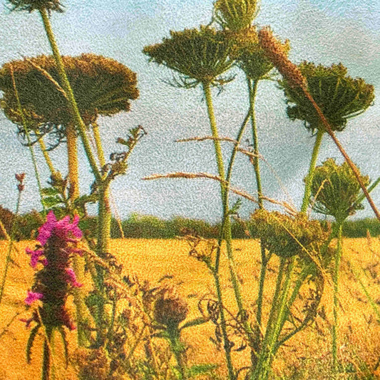 Suede Cushion Cover: Field (Small)