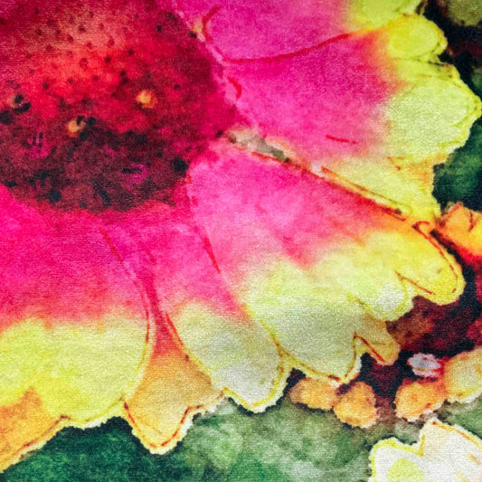 Velvet Cushion Cover: Gazanias 1 (Large)